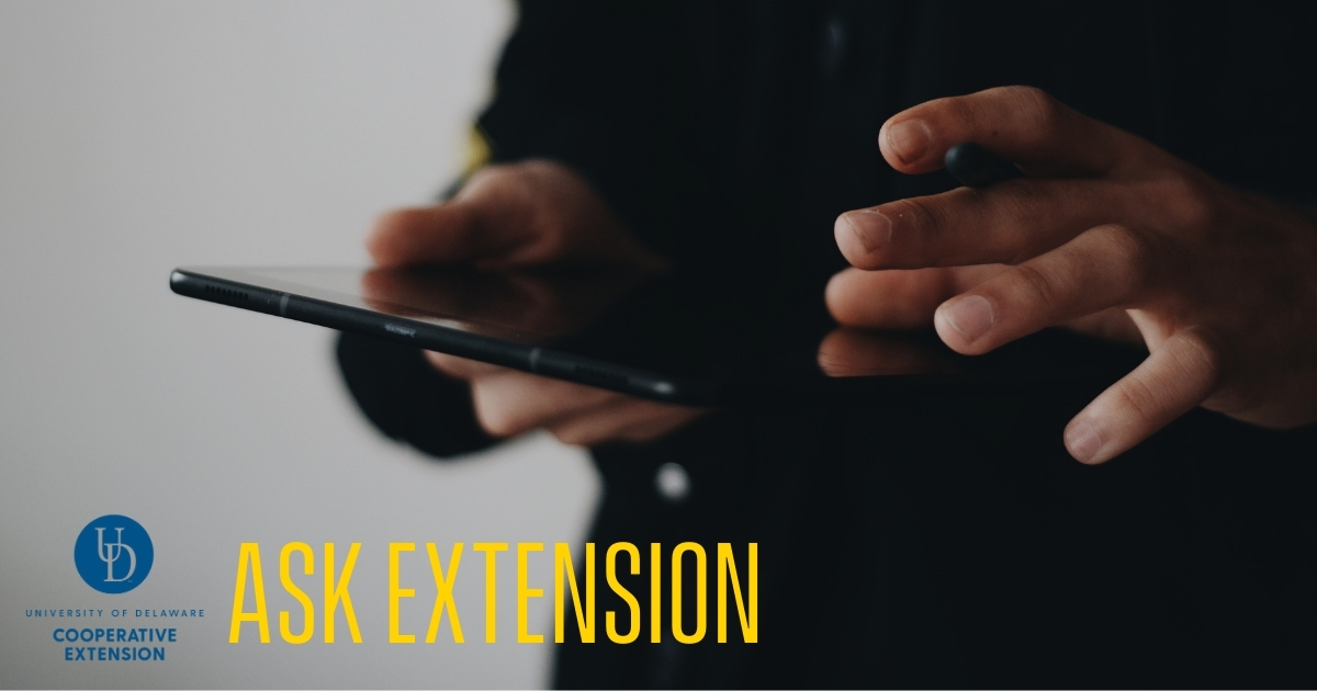 Copy of _hero_extension_1280x534 Ask Extension Photo