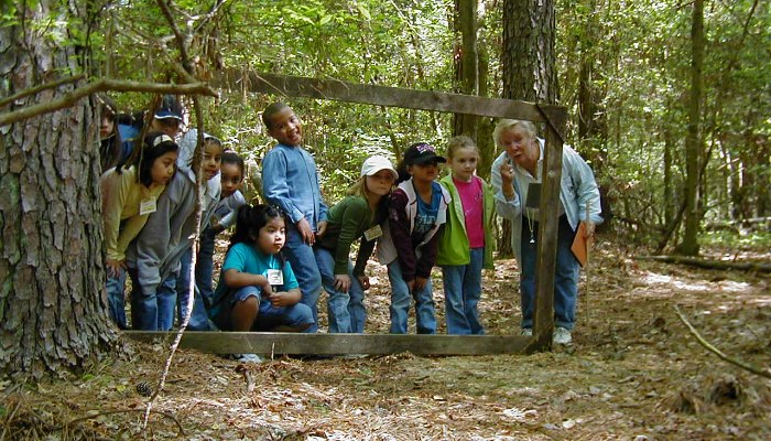 An extension volunteer discussing forestry with young children.