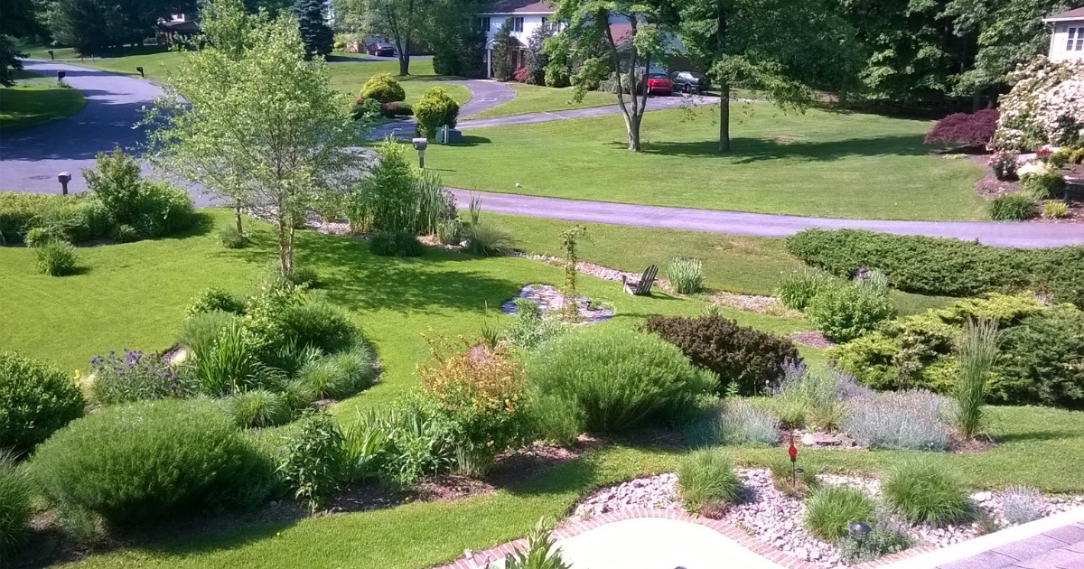 View of landscape in yard