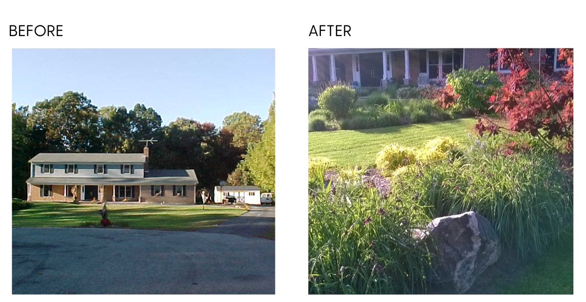 Showing a Before Photo and and an After photo of a front yard lanscape