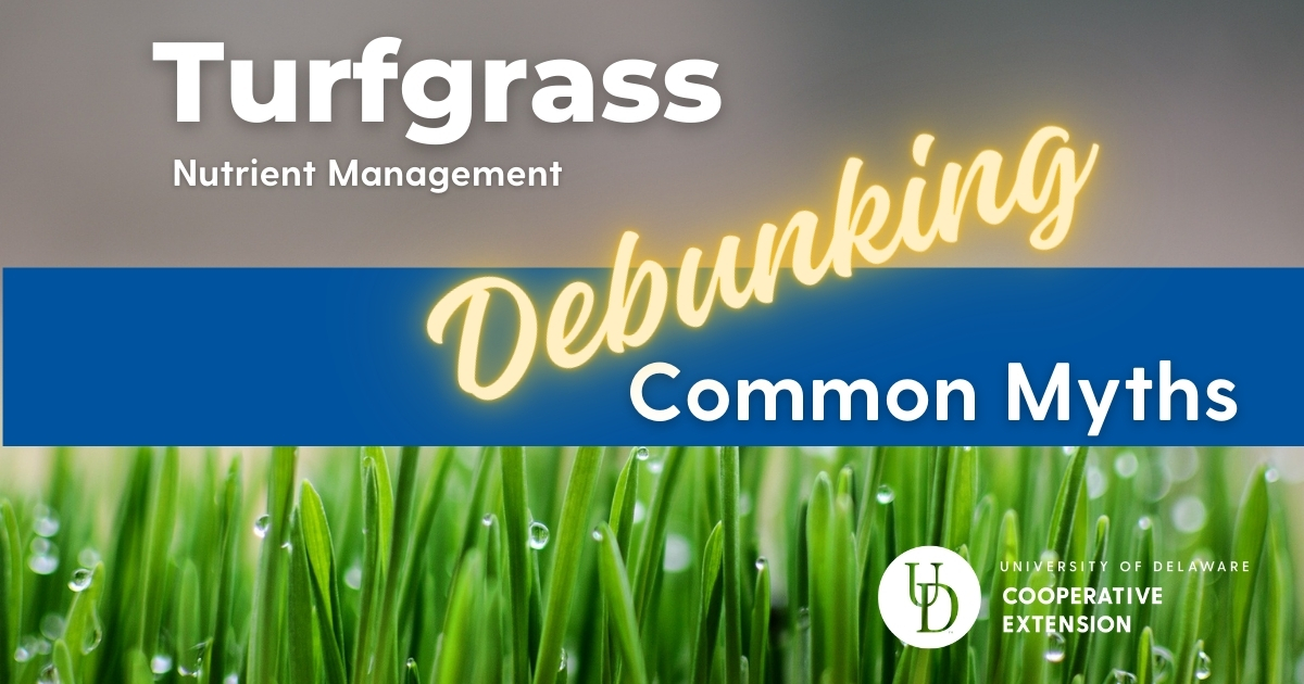 Photo with vibrant green grass and the title, "Turfgrass Nutrient Management - Debunking Some Common Myths"
