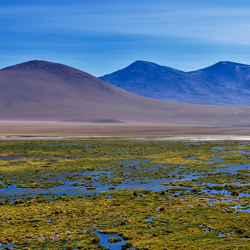 A view of an Argentinian countryside