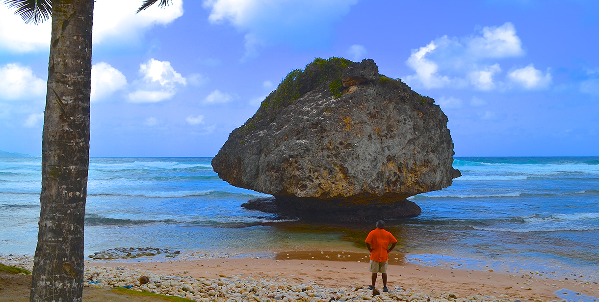 Faculty Member Francis Kwansa stands looking at a large rock structure in Barbados