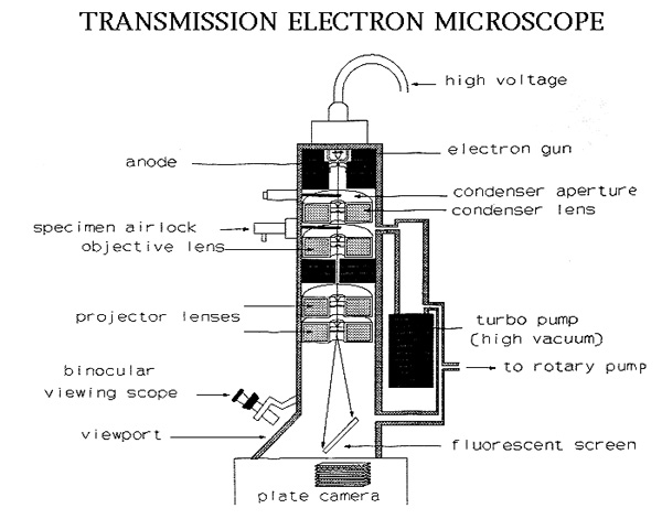 Transmission Electron