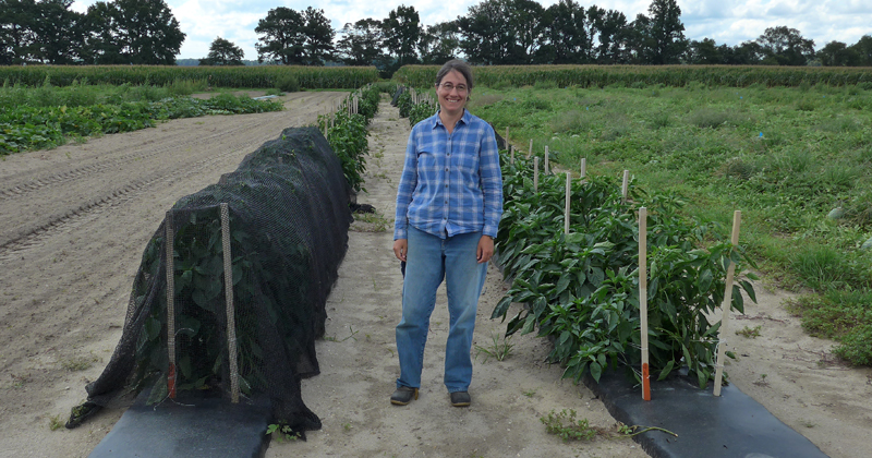  Emmalea Ernest, UD extension fruit and vegetable specialist, stands between rows of peppers for her heat stress trials, one of many topics she presented on mitigating heat stress for vegetables and fruits. Ernest explained that using a 30% black shade cloth significantly increased yield. 