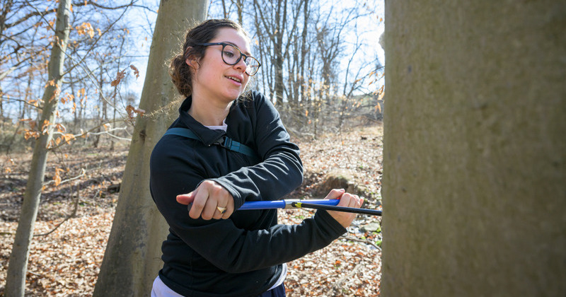  Plant and soil sciences doctoral student Kendall McCoach utilizes tree coring to analyze data throughout urban forests. 