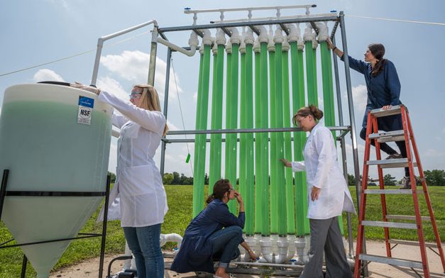 Jen Stewart has installed a bioreactor that contains multiple long cylinders filled with a microscopic algae that eats carbon dioxide and nitric acid along with her students Lauren Salvitti (dark hair)-PhD, post doc, Anna Schutschkow (long blonde hair) - master's student and Jenna Schambach CEOE'15 summer intern.