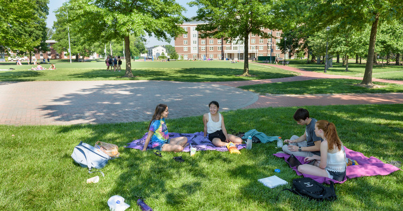 Students studying on a grassy part of campus under the shade of nearby trees.