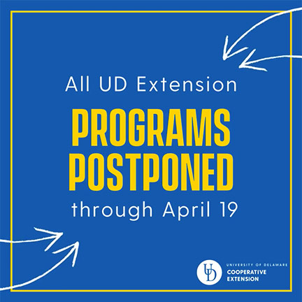Programs Postponed graphic
