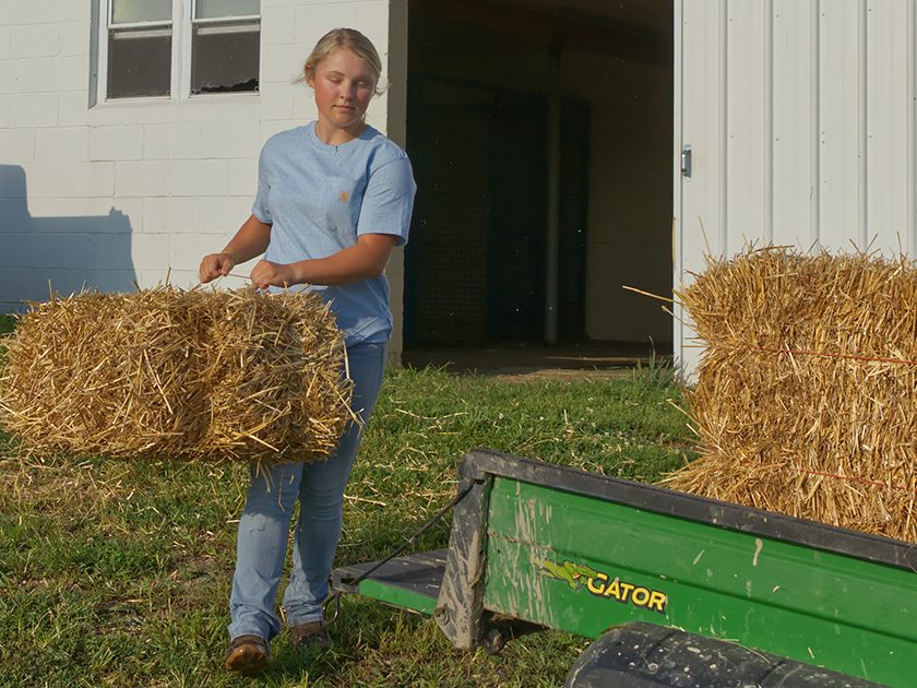 a student loads hay onto a farm vehicle