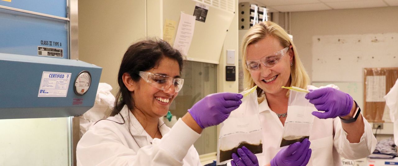 A student and a faculty member both wearing purple gloves extract a lab sample