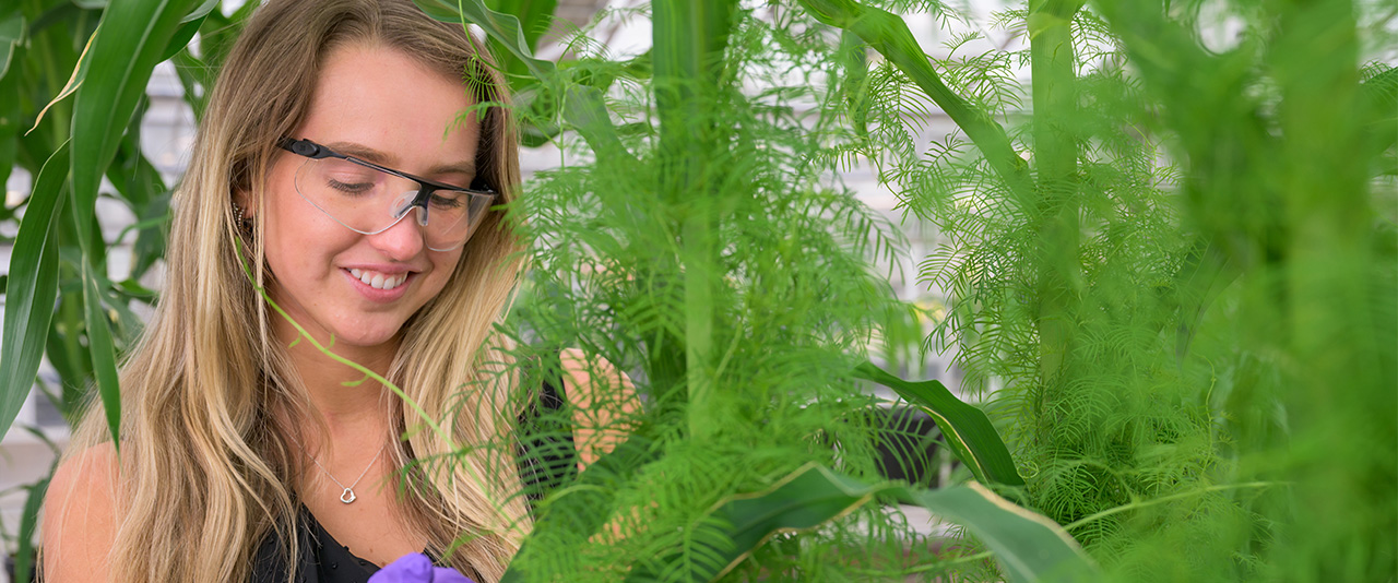 Statistics student Audrey Bufano stands in a greenhouse at FMC Corporation