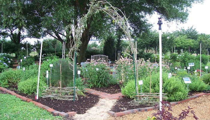Sussex County Garden