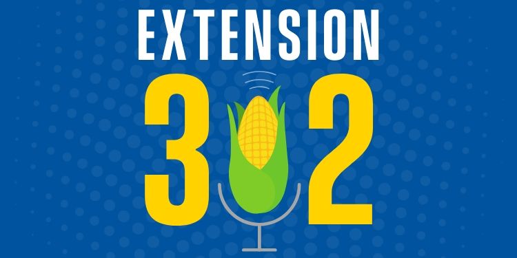 Extension302 Podcast Graphic