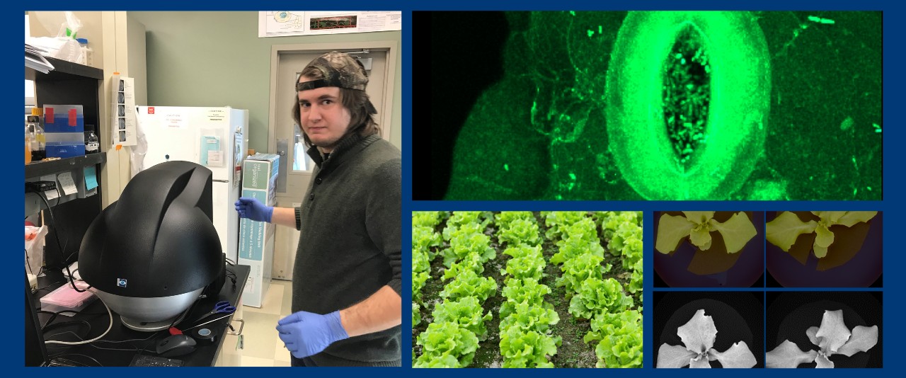 Former UD graduate student Nick Johnson operates the multi-spectral imaging instrument to look at plant sentinel response.