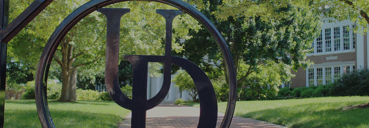 Looking through a UD Monogram Gate toward a walkway on campus.