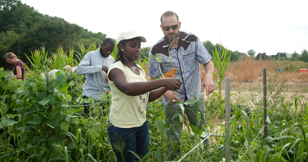 Susan Gachara has studied maize lethal necrosis with Randy Wisser, associate professor of plant genetics, during her time as a Borel Fellow.