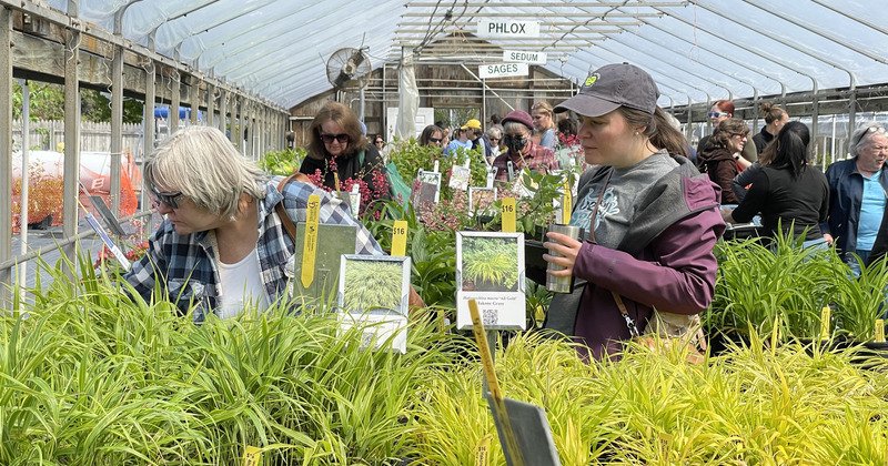 Plant sale at Ag Day