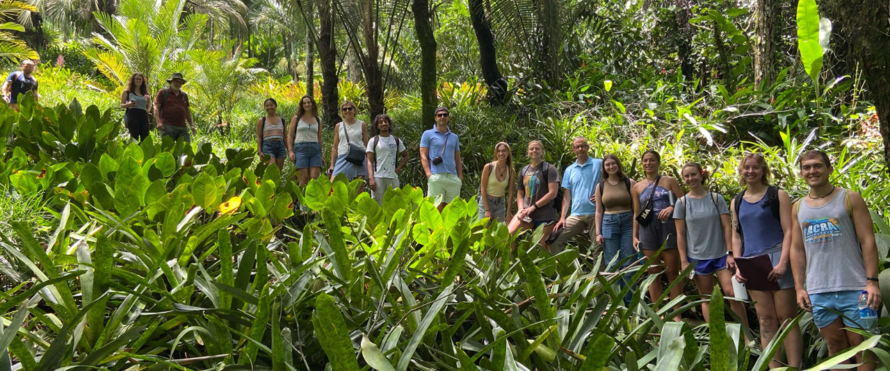 A dozen students stand in the a plush Brazilian landscape during a study abroad course.