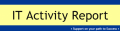 Banner from PDF version of IT Activity Report