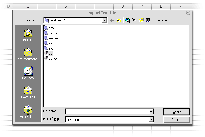 Excel Import Text File window
