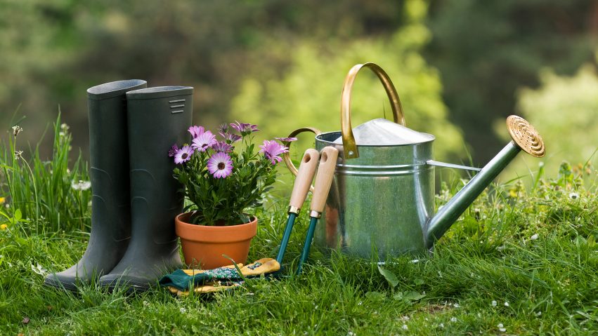 Gardening tools and flower on the grass close up