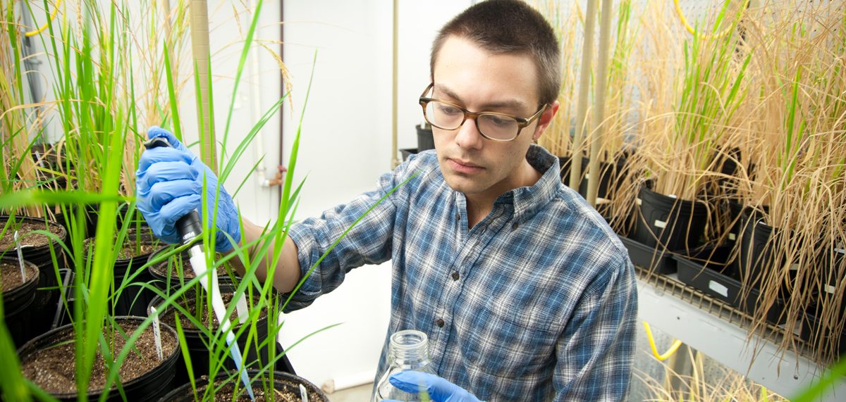 Image of student working with plants