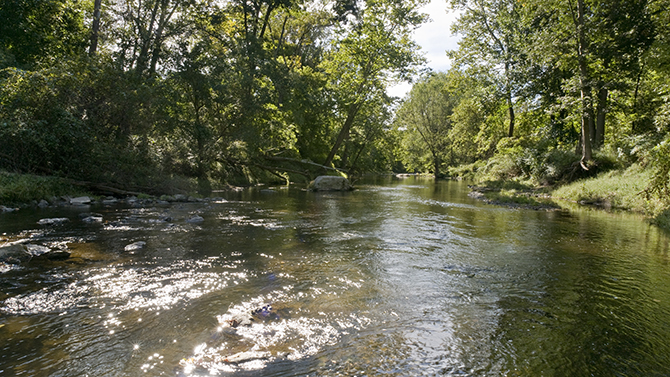 Environmental stock images from Brandywine Creek State Park and White Clay Creek State Park.