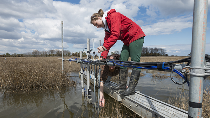 Dr. Jack Puleo is conducting research with several graduate and undergraduate students in Brockonbridge Marsh. His work involves tracking the flow of water through the marsh in extensive detail over a period of several weeks. Pictured: Graduate student Aline Pieterse and Dr. Jack Puleo