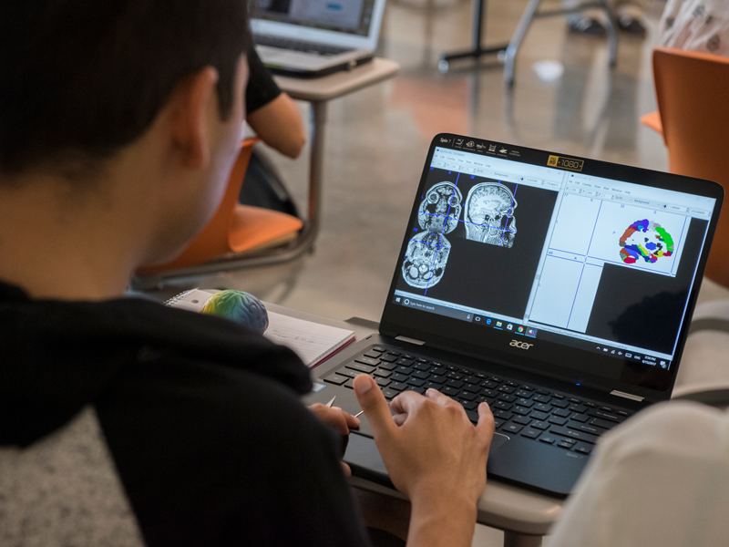 EPSCoR Brain Camp Group - 6/15/17 Almost 500 undergraduate students from more than two dozen universities around the nation participated in research at the University of Delaware this summer.