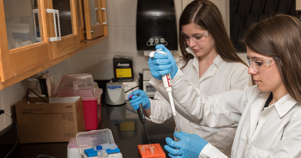 PSYCH-Psychological_Brain_Sciences_Labs-041315 Students in lab
