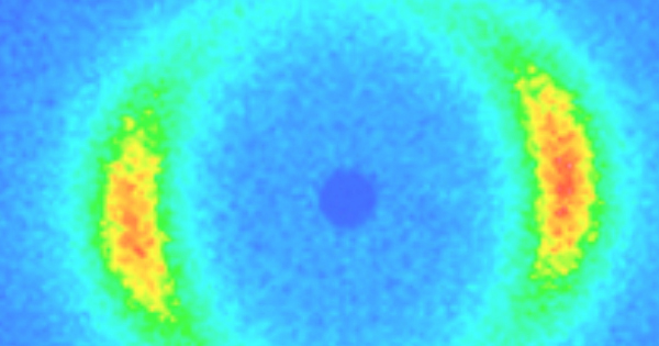 Norm Wagner Neutron1 scattering image This image was obtained during a neutron scattering experiment.