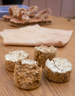 Students in the Fashion Design program design shoes made from mushrooms.