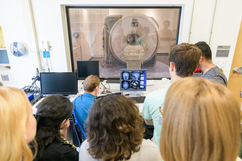 Students in the Summer Workshop in Cognitive and Brain Sciences (a.k.a. 