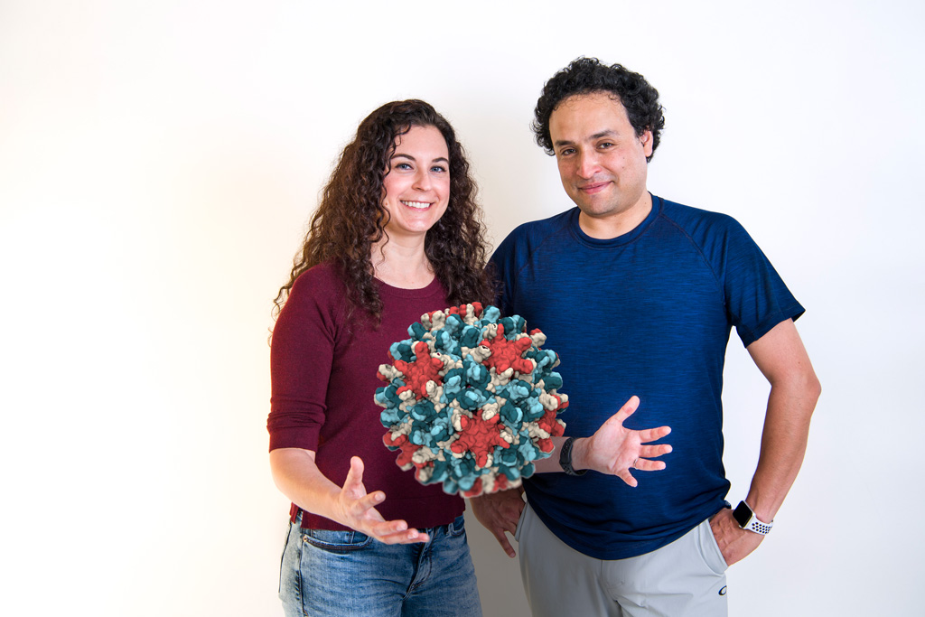 Juan Perilla and Jody Hadden - HBV Capsid