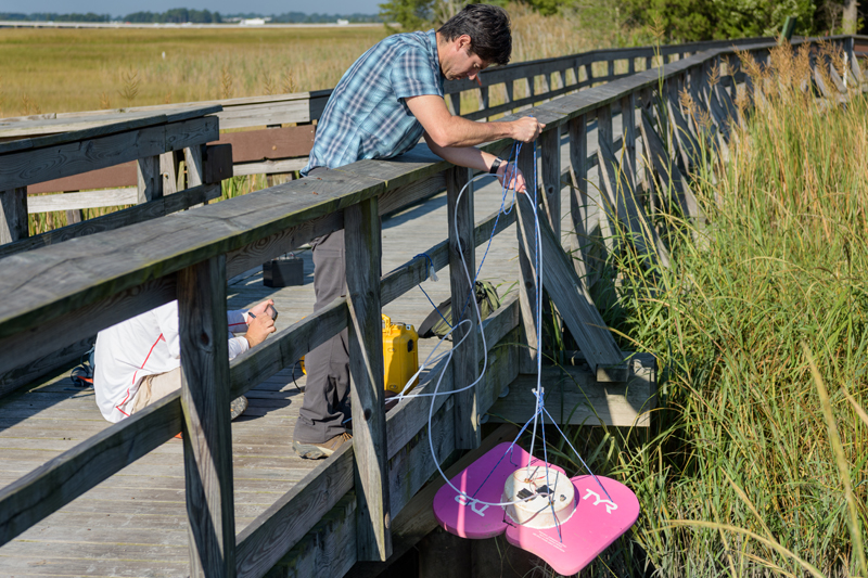 UD’s Rodrigo Vargas said an important question is if tidal salt marshes shrink or disappear, could all the carbon they have stored go back into the atmosphere?
