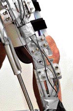 Robotic exoskeleton