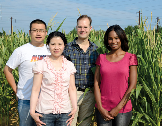 Corn researchersJixian Zhai, Tzuu-fen Lee, Blake Meyers and Stacey Simon