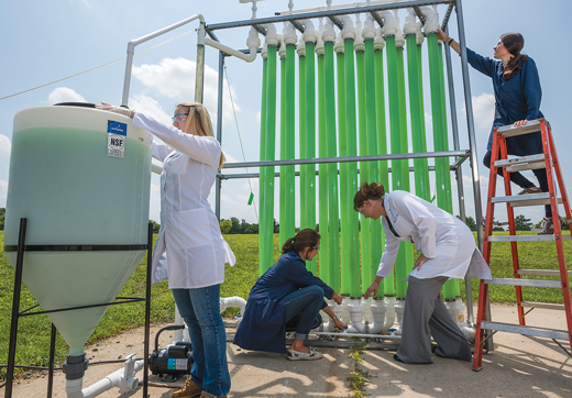 Jennifer Stewart and her team of researchers at the algae tubes