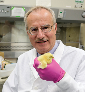Jack Gelb holding a chick