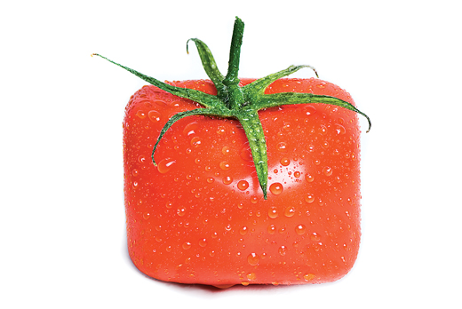 an image of a square tomato