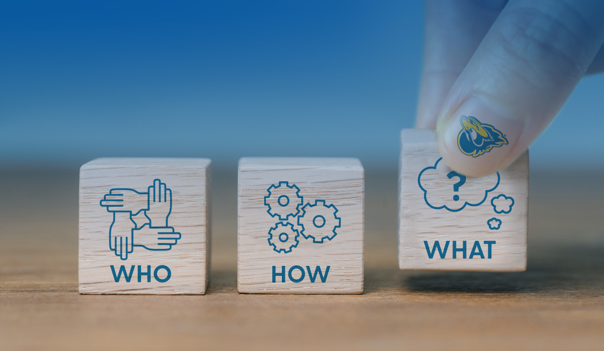 Who we are, How we work, What we do