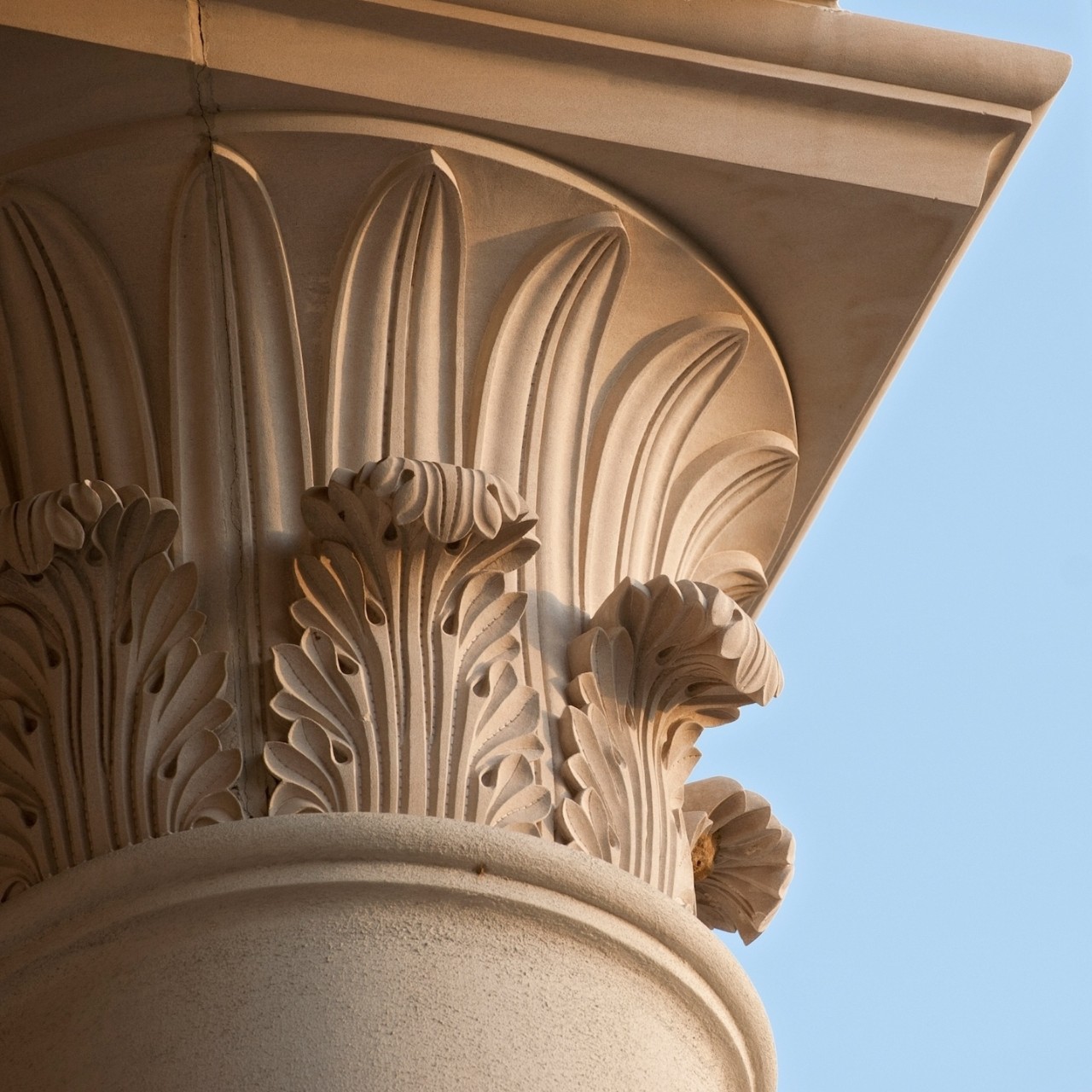 Scroll Column on UD Campus