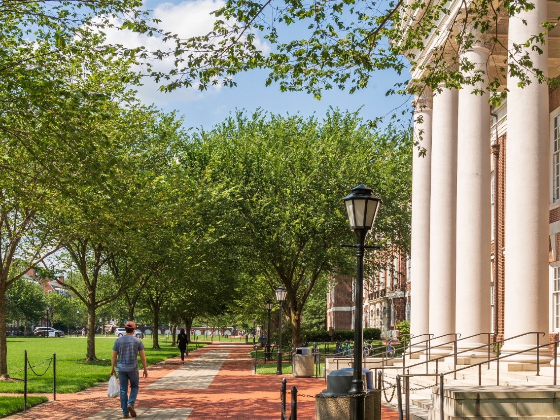 Campus Beauty Columns Green