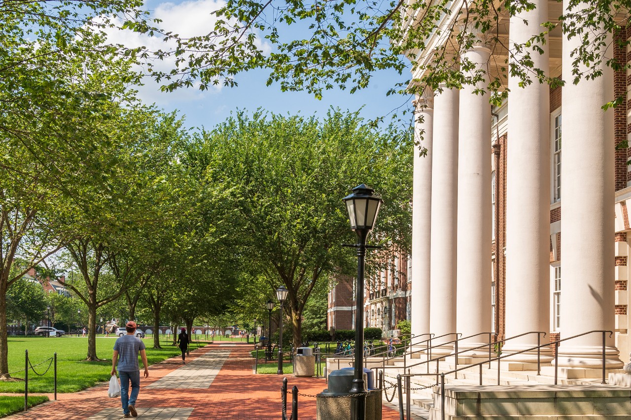 Campus Beauty Columns Green