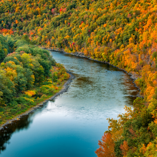 The Brandywine River flows through the wooded Delaware Valley during the fall leave change resulting in the flowing river framed on both sides by green, brown, red, purple, yellow and orange bursts