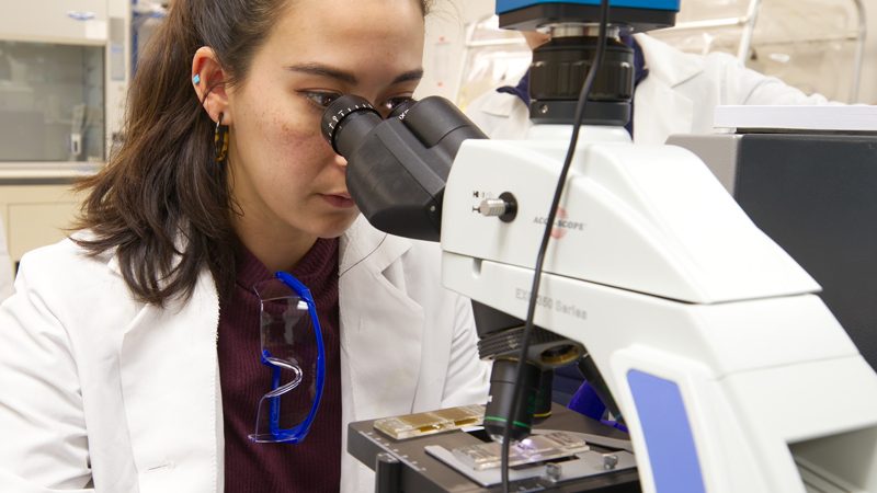 Graduate students Alexa Johnson and Gisselle Garcia and undergraduate Ariel Strouse working on research with Dr. Amy Biddle in ANFS.