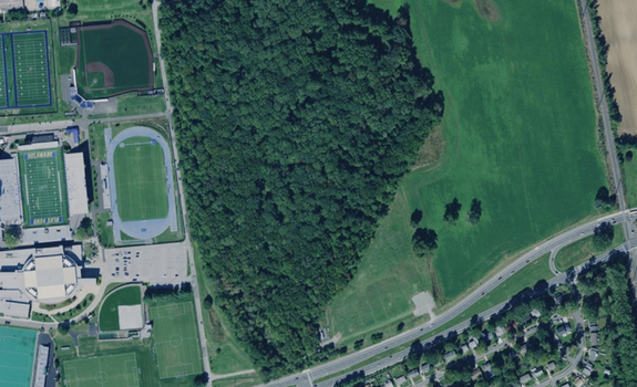 -horizontal-900x350px - 2 Ecology woods from the air.
