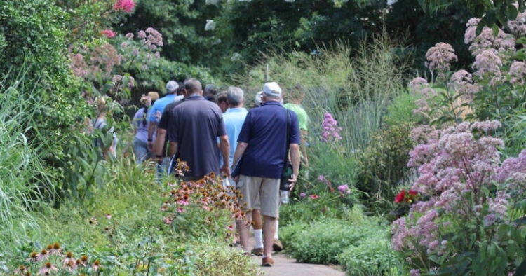 The Herbaceous Garden