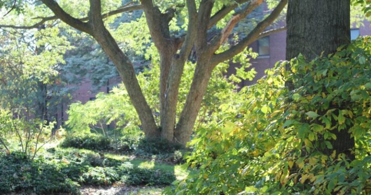 The Worrilow Hall Gardens